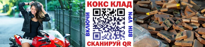 COCAIN Fish Scale  Купить закладки  Краснознаменск 