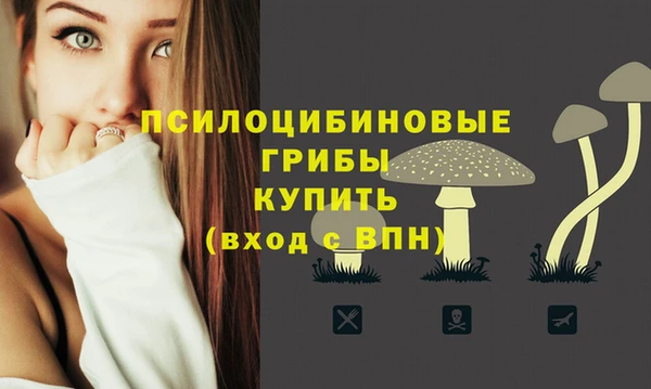 шишки Куйбышев